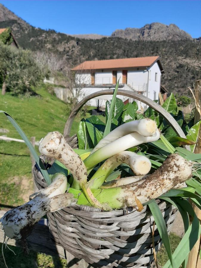 Agriturismo Grilla Villa Mele Exterior foto